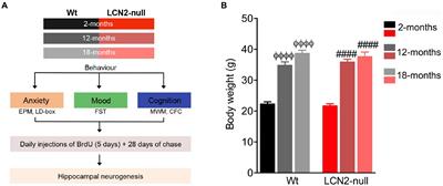 Age-related changes in mice behavior and the contribution of lipocalin-2